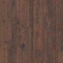 КАШТАН ШОКОЛАДНО КОРИЧНЕВЫЙ